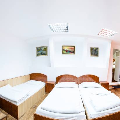 Cazare Pensiunea Casa Românească Târgoviște
