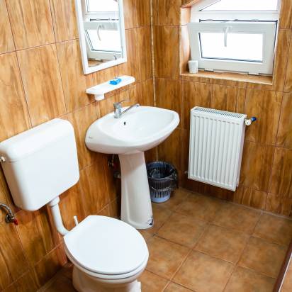 Cazare Pensiunea Casa Românească Târgoviște